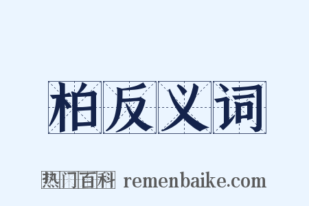 柏反义词是什么意思的图片
